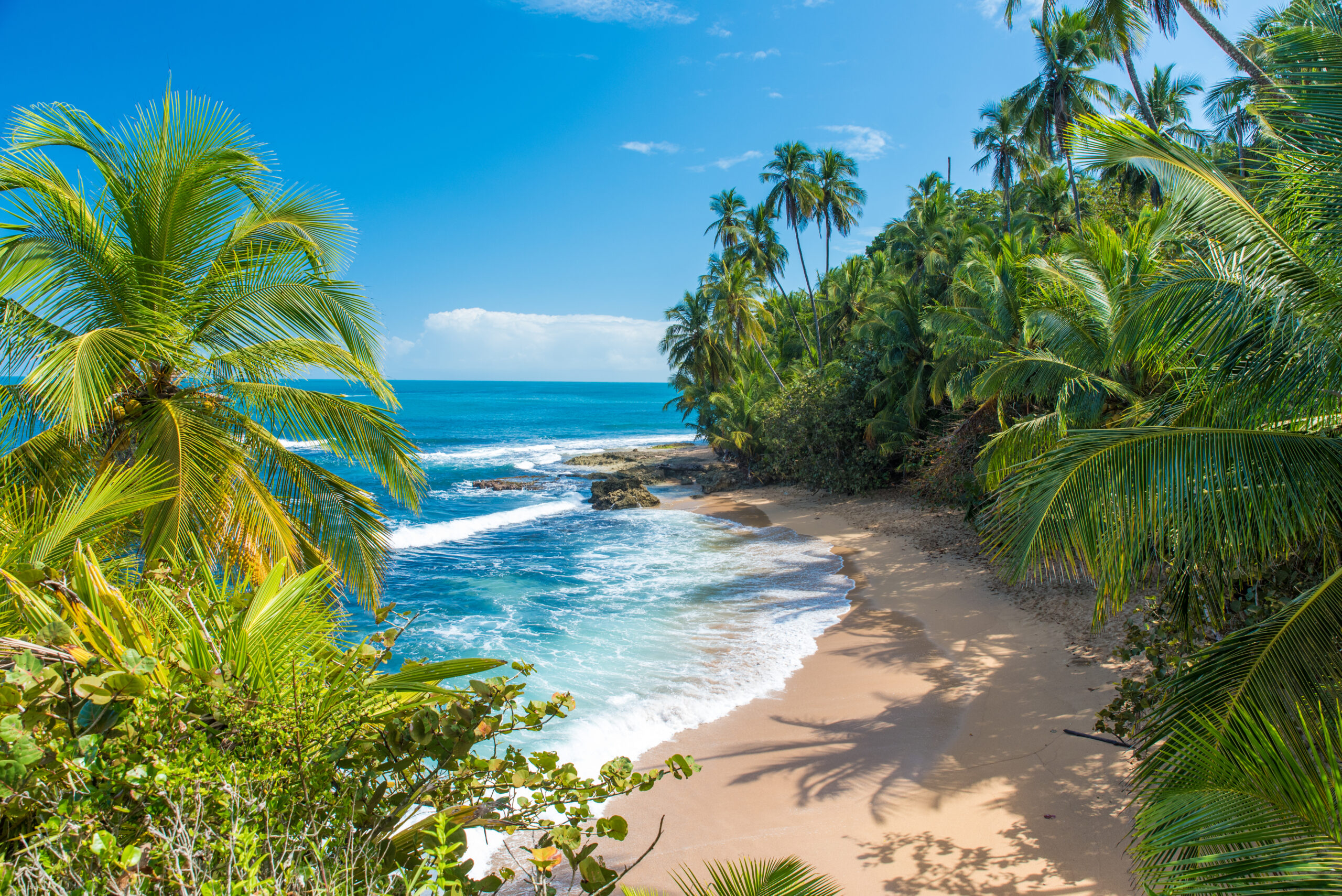 WestJet Is Launching a New Non-Stop Flight from Ottawa to Costa Rica This Winter